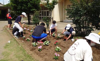 花壇に花を植えている様子